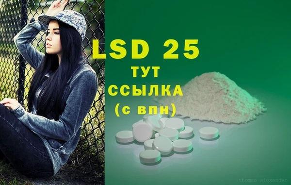 крисы Армянск