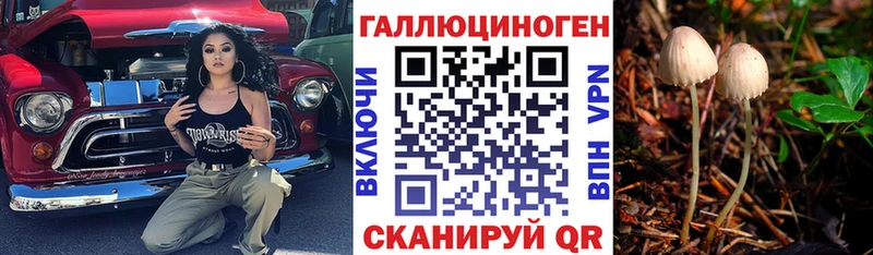 где купить наркоту  Избербаш  Галлюциногенные грибы мицелий 